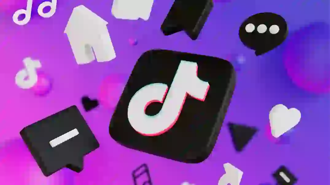 TikTok follower growth case study by SMMNew